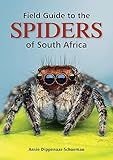 Field Guide to the Spiders of South Africa
