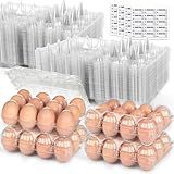 HANSGO 60 PCS 12 Count Plastic Egg Cartons, with 60PCS Date Labels, Bulk Cheap Clear Reusable Egg Containers for Fresh Medium Eggs Storage, Suitable for Farms, Families, Markets Display