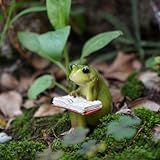 picocosmxiruo Miniature Small Frog and Rabbit Figurines Fairy Garden Supplies Terrarium Accessories DIY Miniature Garden