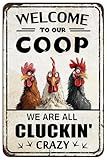 Chicken Coop Accessories Funny Chicken Signs Rooster Decorations Chicken Stuff For Farmhouse Farm Kicthen Decor Welcome To Our Coop 12x8 Inches