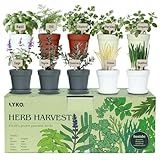 10 Indoor Herb Garden Kit, 33pcs Complete Kitchen Herb Starter Set Including 4-Color Pots, Soil & Tools, Unique Gift Ideas for Plant Lovers, Women, Men, Mom, Friend, Birthday, Housewarming, Christmas