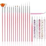 Nail Art Tools Set, Nail Art Kit for Beginners: 15 professional nail brushes for nail art, 5 precision dotting tools, 1 pink curved tweezers, Design Tools for Nail Tech & Beginners