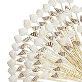 200Pcs Seashell Cocktail Picks,Beach Hawaiian Lua Party Pick 4.7 Inch Fancy Appetizer Tooth Picks for Summer Hawaiian Party Luau Beach Holiday Party Supplies