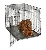 MidWest Homes for Pets 42-Inch iCrate for Large Breeds, 71-90 lbs, Single Door Folding Dog Crate with Divider Panel, Leak-Proof Tray & Secure Latch, Portable, Durable & Easy to Assemble