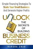 Unlock the Secrets of Building Business Credit: Simple Financing Strategies To Scale Your Small Business And Generate Higher Profits