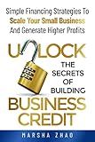 Unlock the Secrets of Building Business Credit: Simple Financing Strategies To Scale Your Small Business And Generate Higher Profits