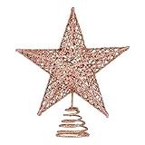 BinaryABC Christmas Tree Topper Star,Glittering Christmas Tree Decoration Ornaments,20cm (Rose Gold)