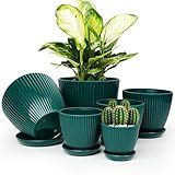 Vodotion - Plant Pots Indoor with Saucers & Drainage - 6 Pack Flower Pots - Plastic Planters for Indoor Planter - 7.5/6.6/5.8/5.0/4.3/3.5 inches Sizes for All Different Types of Plants-Dark Green