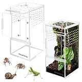 Jumping Spider Enclosure,Arboreal Tarantula Enclosure,Spider Habitat,Praying Mantis Habitat,Frog Enclosure,Insect Terrarium Bug Enclosure,Acrylic Terrarium