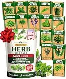 15 Culinary Herb Seeds - Heirloom & Non GMO - High Germination Rate - Seeds for Planting Indoor Hydroponic or Outdoor Herbs Garden | Gardening Gift Men Women Gardeners - Basil, Cilantro, Mint