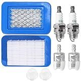 Air Filter Fuel Spark Plug Repower Tune-Up Kit Replacement for Echo Backpack Leaf Blower 2 Stroke Engine PB-403H PB-403T PB-413 PB-413H PB-413T PB-500H PB-500T PB-580H PB-580T PB-620 PB-650 PB-650H