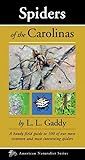 Spiders of the Carolinas: A handy field guide to 100 of our most common and interesting spiders (Naturalist Series)