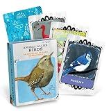 Animal Allies Birds Oracle Deck: An Uplifting 50-Card Oracle Deck with Guidebook (Em & Friends Animal Allies Decks)
