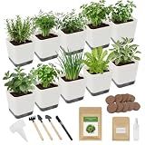 Indoor Herb Garden Starter Kit, 10 Non-GMO Herb Seeds for Basil, Parsley, Thyme, Mint, Cilantro, Dill, Oregano, Chives, Sage, Mustard Including 10 White Pots, Nutritional Soil, Ideal Xmas Gift