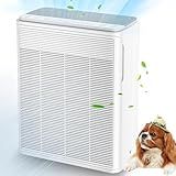 AIUZLK Air Purifiers for Home Large Room Up to 2000 sqft,Powerful 24W Moter,For Pets Dander Hair Smoke Odor Wildfire,0.1 Micron H13 HEPA Filter,22dB Low Noise Bedroom,Room Air Purifiers (White)