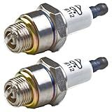 Briggs & Stratton 796112-2pk Spark Plug (2 Pack) Replaces J19LM, RJ19LM, 802592, 5095K by Briggs & Stratton