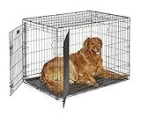 MidWest Homes for Pets 42-Inch Two-Door iCrate Folding Dog Crate with Divider Panel, Leak-Proof Tray & Secure Latches – Metal Wire Kennel for Large Breeds – Portable, Durable & Easy to Assemble
