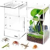 ZENWUKONG Jumping Spider Enclosure - Acrylic Terrarium Habitat for Spiders, Tarantulas, Snail, Mantis, Lizard, and Small Reptiles, Magnetic Doors (3x3x6 inch)