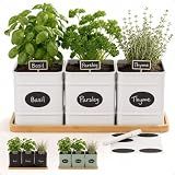 Herb Planter Indoor, 3-pc Herb Pots w/ Drainage Holes, Bamboo Tray & Labels