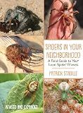 Spiders in Your Neighborhood: A Field Guide to Your Local Spider Friends, Revised and Expanded