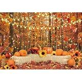 Msocio 7x5ft Polyester Fall Backdrop Autumn Forest Leaves Pumpkins Photography Background for Thanksgiving Day Farm Harvest Event Party Supplies Decorations Banner Picture Photo Booth