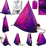 HiCamer Double Layer Sensory Swing for Kids & Adults Holds up to 300lbs Indoor and Outdoor Therapy Cuddle Swing with 360° Swivel Hanger Kit Adjustable with Aspergers Autism ADHD (Galaxy Purple)