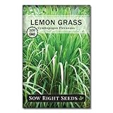 Sow Right Seeds - Lemon Grass Seed for Planting - Non-GMO Heirloom Packet with Instructions for Easy Planting and Growing an Herb Garden - Indoor or Outdoors - Delicious Culinary Herb (1)
