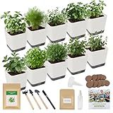 10-Set Indoor Herb Garden Starter Kit, 7 Seeds Growing into Basil, Parsley, Thyme, Mint, Cilantro, Dill, Oregano Including 10 White Pots, Markers, Nutritional Soil, Ideal Christmas Gifts for Women