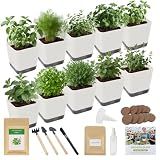10-Set Indoor Herb Garden Starter Kit, 7 Seeds Growing into Basil, Parsley, Thyme, Mint, Cilantro, Dill, Oregano Including 10 White Pots, Markers, Nutritional Soil, Ideal Christmas Gifts for Women