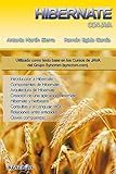 Curso de Hibernate con Java (Spanish Edition)