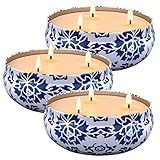 Hausware Citronella Candles Outdoor & Indoor - Large 13.5 oz Scented Candles Set 3 Pack Natural Soy Wax citronella Candles for Garden Patio Yard Home Balcony Camping Backyard