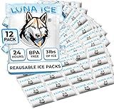 Dry Ice Packs for Shipping - Long Lasting ice Packs - 24+ Hour Freeze Power - BPA Free - 12 Pack Bulk 3 lb – Hielo Seco - Reusable Gel Bricks for Food