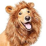 Pet Krewe Lion Mane for Dog -Lion Mane Dog Costume by Pet Krewe