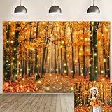 Caaerttply Fall Forest Thanksgiving Backdrop for Photography Autumn Maple Leave Gold Glitter Photo Backdrop Fall Natural Landscape Background Thanksgiving Harvest Event Banner Decor Studio Prop 10x8ft
