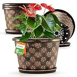 8 Inch Planter Pots for Plants, Plastic Flower Pots Indoor Outdoor, 5 Pack Resin Plant Pot with Drainage & Saucer, Retro Decorative Garden Pot with Removable Trays for House