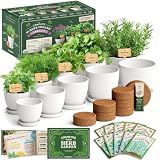 Seedboy Organic Non-GMO Herb Seeds for Planting (Herb Garden Starter Kit)