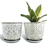 Gepege 6 Inch Beaded Ceramic Planter Set of 2 with Drainage Hole and Saucer for Plants, Indoor-Outdoor Large Round Succulent Orchid Flower Pot (Smoked Gray, Inner-pots not Larger Than 5 Inch)