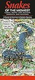 Snakes of the Midwest WI, MI, IL, IN, OH, MN, IA