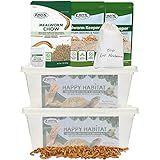 Mealworm Breeder Kit (Expanded) - Breed Live Feeder Worms for Hedgehogs, Sugar Gliders, Reptiles, Wild Birds, Chickens, Lizards, Bearded Dragon, Skunks, Opossum, Fish, Turtles, Tortoises, Geckos