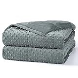 Alomidds Weighted Blanket (60"x80",15lbs Queen Size - Grey), Weighted Blankets for Adults and Kids, Cooling Breathable Soft and Comfort Minky, Heavy Blanket Microfiber Material with Glass Beads
