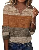 Zeagoo Womens Long Sleeve Tops Patchwork Fall Shirts V Neck Tunic Top