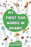 My first bilingual Arabic English picture book: 500 words of the classical Arabic language - A visual dictionary with illustrated words on everyday ... adults (Let's learn the Arabic language)