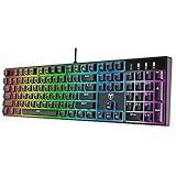 RisoPhy Mechanical Gaming Keyboard, Blue Switch USB Wired Keyboard, 20 RGB Light up Backlit Modes, 104 Key Full Size Clicky Keyboards, Anti-Ghosting/Spill-Resistant Rainbow LEDKeyboards for PC(Black)