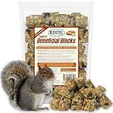Exotic Nutrition Squirrel Beneficial Blocks - Healthy & Unique Supplemental Food with Nuts & Seeds, 10 oz