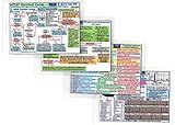 ACLS (Advanced Cardiac Life Support - New Updates) Survival Card Quick Reference Study Guide – 4 Card Set (3.5 x 5.5 inches) Pocket/Index Card Size - Hang with Badge - Laminated