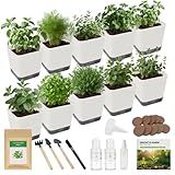 10-Set Indoor Herb Garden Starter Kit, 7 Seeds Growing into Basil, Parsley, Thyme, Mint, Cilantro, Dill, Oregano Including 10 White Pots, Markers, Nutritional Soil, Ideal Christmas Gifts for Women
