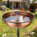 inanil 3" Deep 43" Tall Metal Bird Bath for Outdoors, 12" Dia Removable Bird Baths Water Bowl for Outside, Vintage Standing Birdbaths with Stable Stake for Garden Yard Lawn Decor 1.4 Gallon