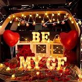 Ceenna Will You Be My Girlfriend Proposal Decoration Set,Red,Classic
