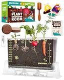 Root Viewer Kit for Kids with 6 Seed Varieties - STEM Science Kits for Kids Age 5-7, 8-12 | Perfect Christmas, Easter, Birthday Gift & School Gardening Project | Learning Educational Gardening Toys