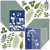 Sun Print Paper Kit Cyanotype Paper, 60 Sheets Cyanotype Papers with 1 Sheet Acrylic Panel, High Sensitive Nature Solar Activated Printing Art Supplies for Arts Crafts DIY Project